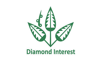 Logo Diamond Interest Abadi